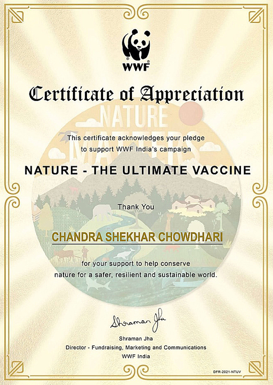 my wwf certificate